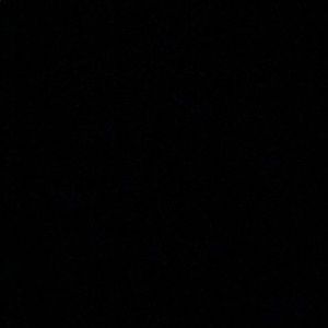 Meet your Posher, Lizette